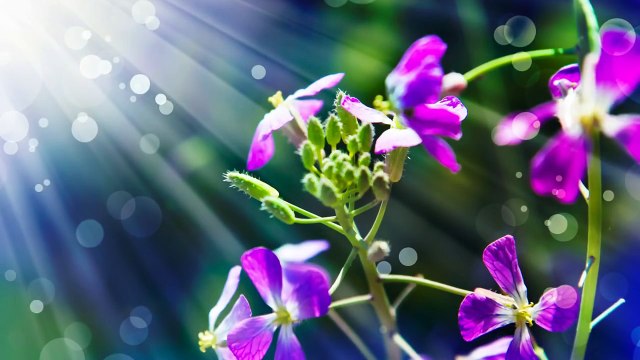 30 Minute Deep Sleep Music: Meditation Music, Calming Music, Soothing Music, Relaxation Music ☯160B