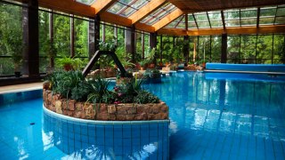 27 Pictures of Indoor Swimming Pool Designs of All Types and Sizes