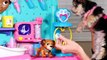 Zumi visits Doc McStuffins HUGE Check-up Center - Disney Toy Veterinarian Station for Pets