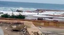 ارتفاع الأمواج في المكلا بعد اقتراب اعصار شابالا من اليابسة اليوم الاثنين 2 11 2015