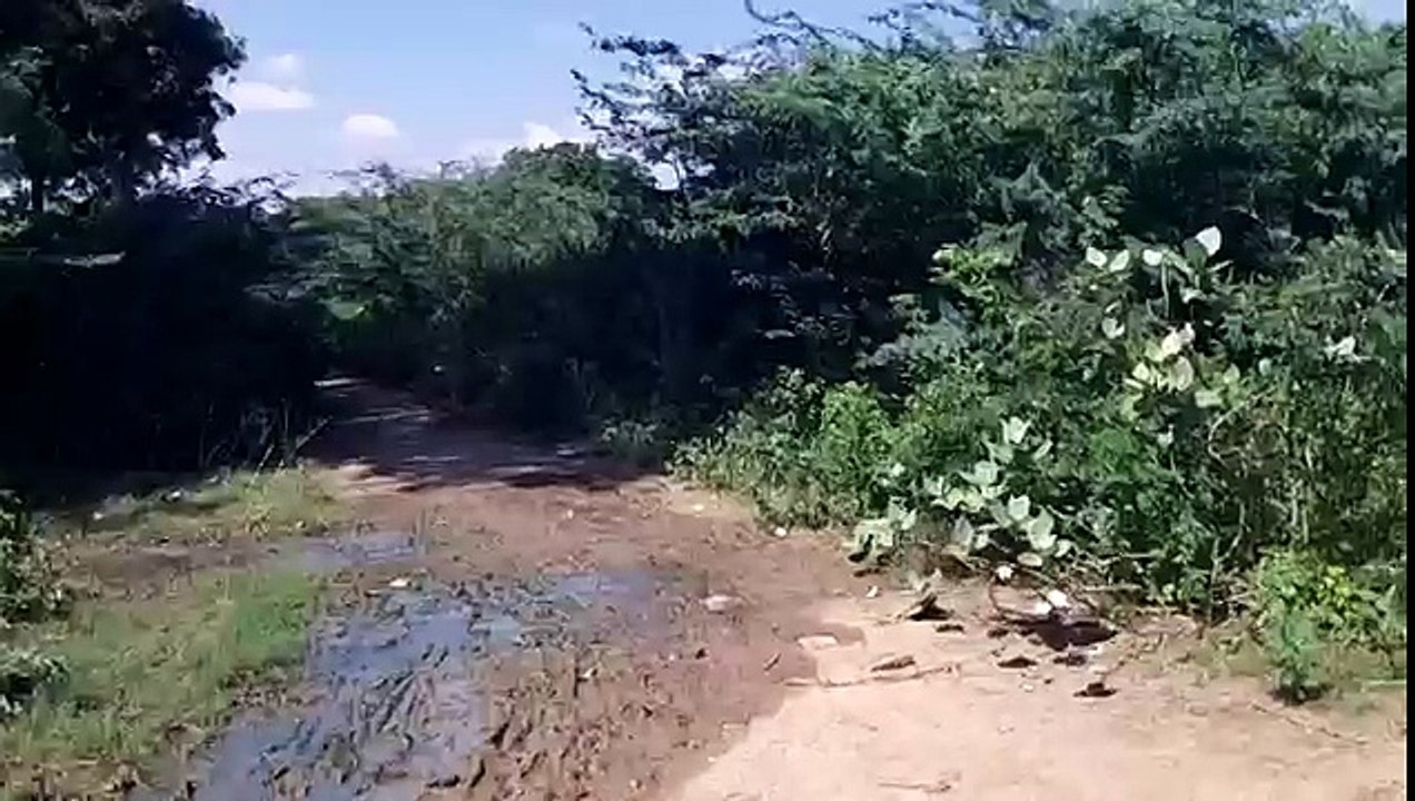 INDIAN LADY GHOST CAUGHT ON CAMERA