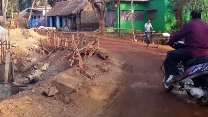 Real Ghost Climbing On the tree, Very Shocking Footage 2015