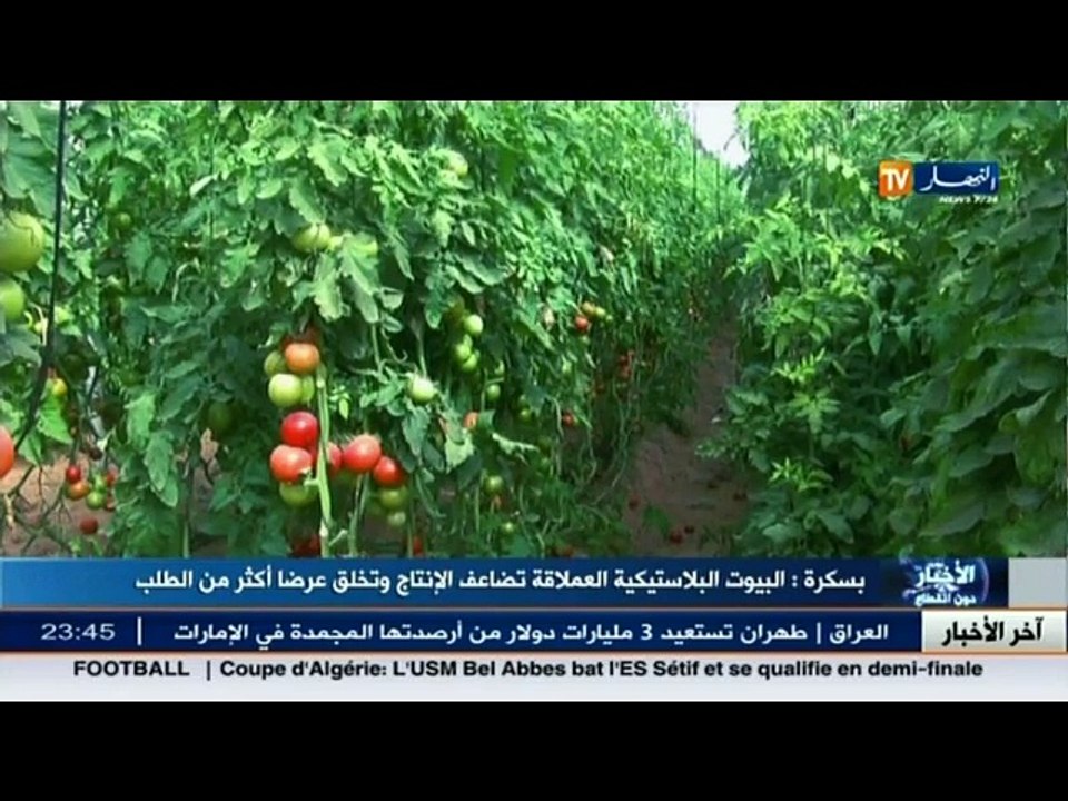آخر أخبار الجزائر العميقة في الموجز المحلي ليوم...