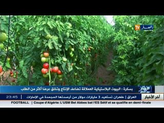 آخر أخبار الجزائر العميقة في الموجز المحلي ليوم 04 مارس 2016