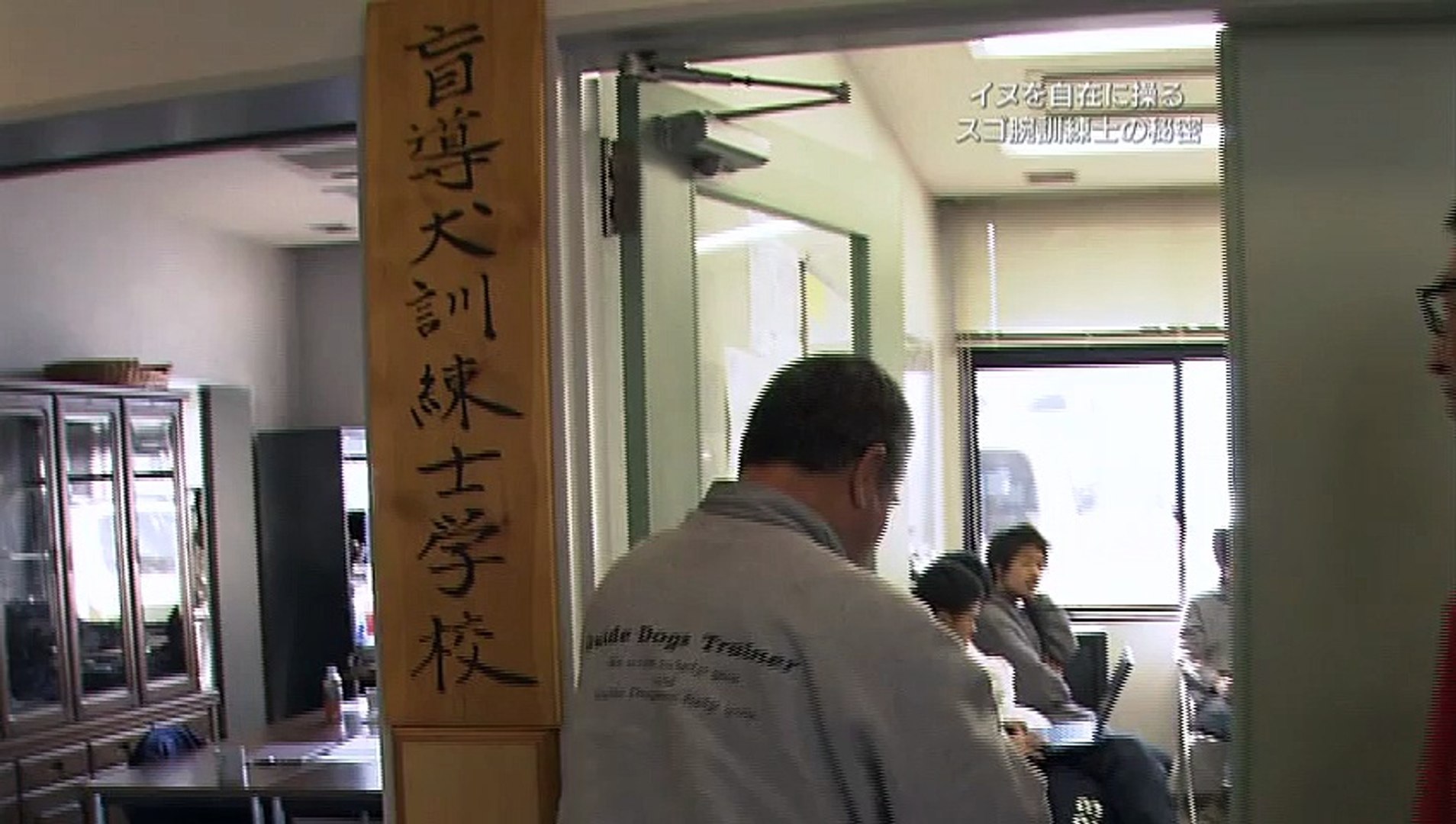 盲導犬訓練士 多和田悟 イヌは人生のパートナー プロフェッショナル 仕事の流儀 動画 Dailymotion