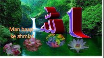 Mulana Tariq Jamil volume 1