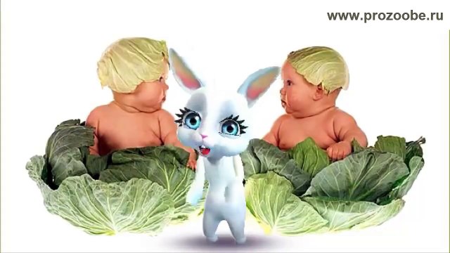 Кроха сын к отцу пришел ❂❂❂ Смешной стих от Зайки Домашней Хозяйки