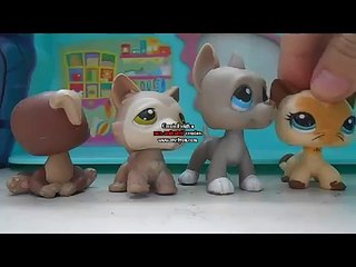 LPS: Teen Titans clip (Love me Hate me)