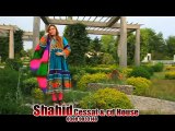 Pashto New Songs Album 2016 Pashto Hits Vol 2 Da Zra Ajeeba Shey De