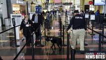 JFK Allowed Passengers to Exit Without Going Through Customs