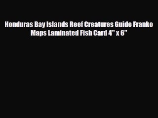 Download Video: Download Honduras Bay Islands Reef Creatures Guide Franko Maps Laminated Fish Card 4 x 6 Ebook