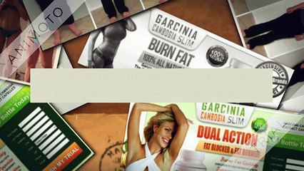 Quick And handy weight discount! Trial offer