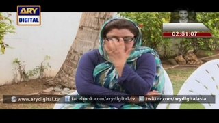 Watch Bulbulay Episode  313  4th March 2016 on ARY Digital