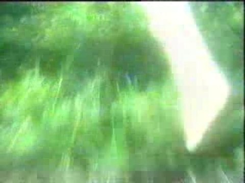 Draculas contre les ottomans