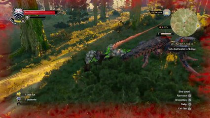 THE WITCHER 3 WALKTHROUGH PART 64 - NOVIGRAD