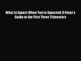 Read What to Expect When You're Expected: A Fetus's Guide to the First Three Trimesters Ebook