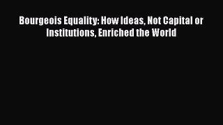 Read Bourgeois Equality: How Ideas Not Capital or Institutions Enriched the World Ebook Online