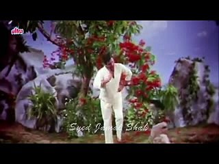 Tumne Pukara Aur Hum Chale Aye - Rajkumar (1964)