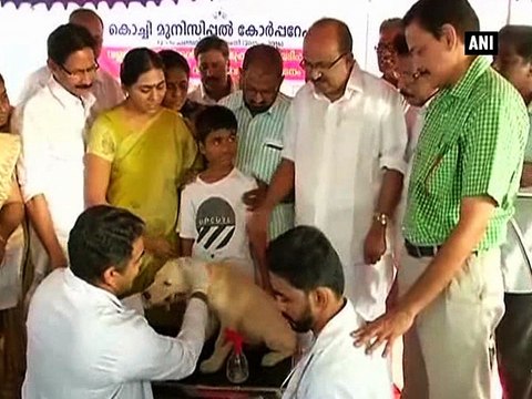 'Microchips' for pet dogs in Kochi