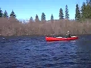 Scooter paddles the Nepisiguit