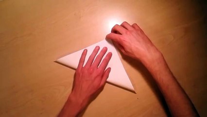 With Chinese characteristics