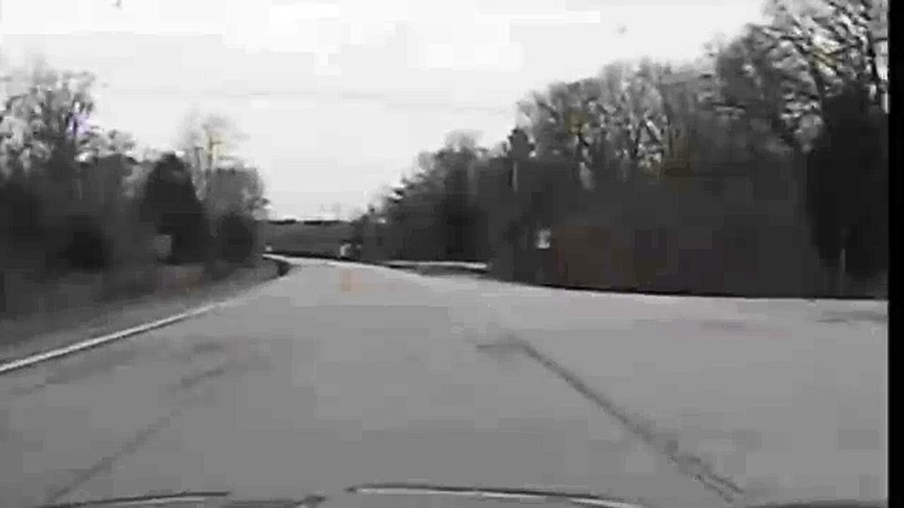 Cop car hits deer