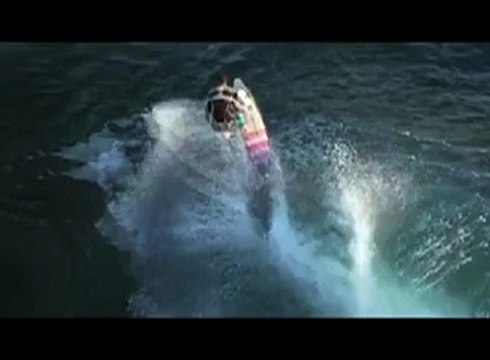 Teale Vanner - Surfing with Dolphins
