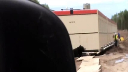 Bears Are Scary LOL!!!