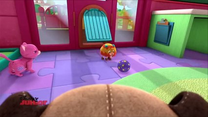 Nowa Klinika dla pluszaków: Leczymy zwierzaki od 19.10. przez dwa tygodnie o 7:20 i 14:45