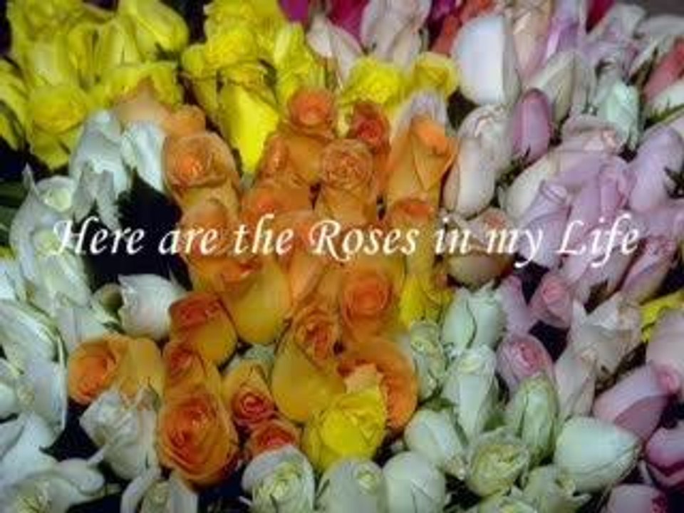 My flowers