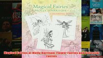 Download PDF  Magical Fairies of Molly Harrison Flower Fairies and Celestial Fairies FULL FREE