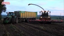 Mais Hakselen 2013 : Egide London met Claas Jaguar 980 en John Deere 7920 in Teuven