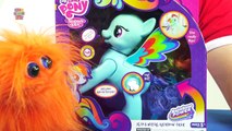 My Little Pony Friendship is Magic Flip and Whirl Rainbow Dash Hasbro
