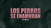 Los Perros Se Enamoran [Remix] [LIRYC + AUDIO ] - Andy Rivera Ft Nicky Jam y Varios Artistas