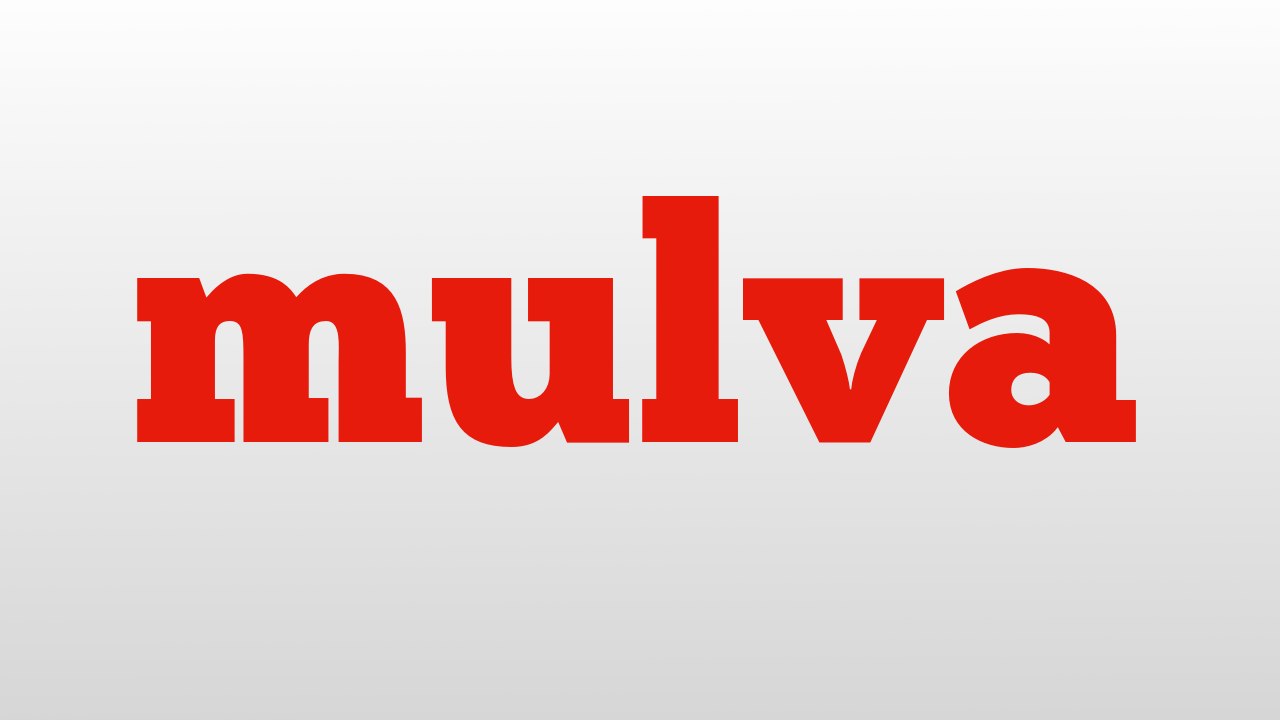 mulva meaning and pronunciation