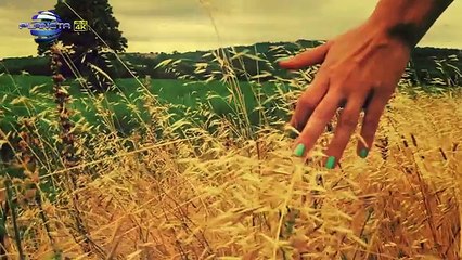 GALENA - STARA KARAVANA   Галена - Стара каравана, 2015