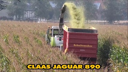 Mais Hakselen 2013 : Loonbedrijf Ruwet in Berneau met Claas Jaguar 890 en Fendt 820