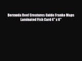 Download Bermuda Reef Creatures Guide Franko Maps Laminated Fish Card 4 x 6 Free Books