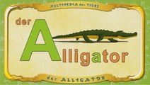 Multipedia der Tiere. Buchstabe A - der Alligator