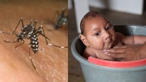5 Things to Know About Zika Virus || Health Facts