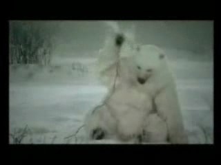 réchauffement climatique