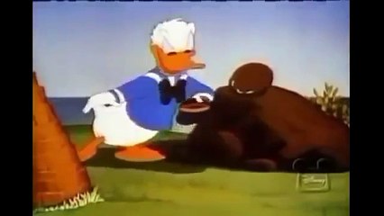 Donald Duck and Chip and Dale Cartoon in Hindi part 1A