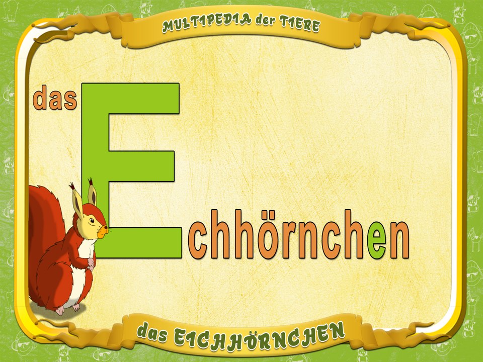 Multipedia der Tiere. Buchstabe E - das Eichhörnchen