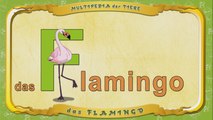 Multipedia der Tiere. Buchstabe F - das Flamingo