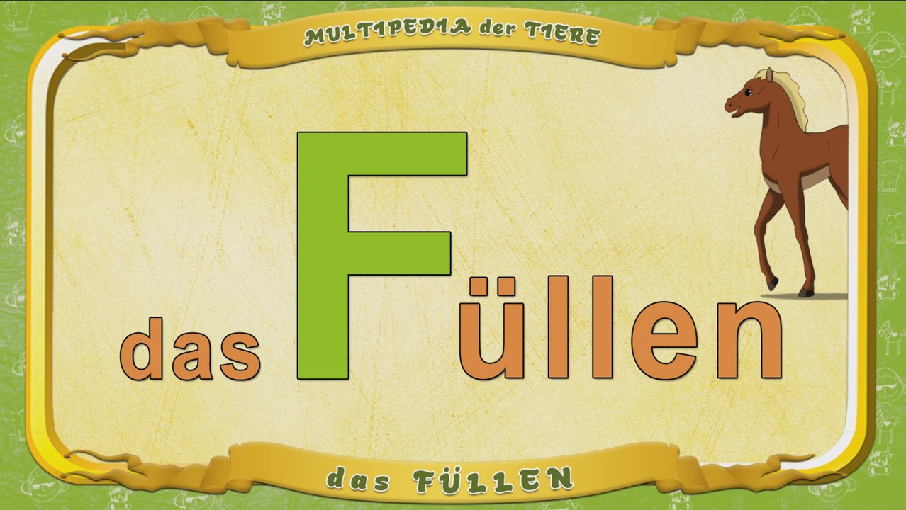 Multipedia der Tiere. Buchstabe F - das Füllen