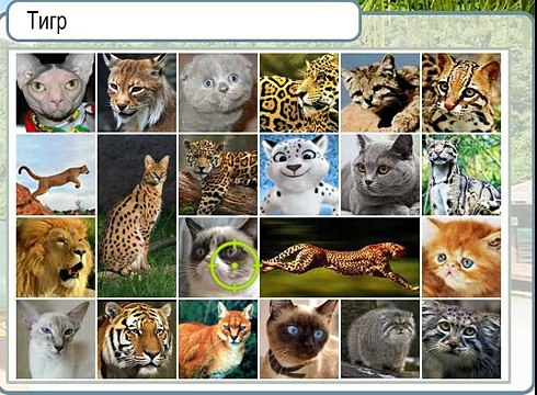 Ответы на игру Горячо - Холодно в одноклассниках на 5, 6, 7, 8, 9 уровень