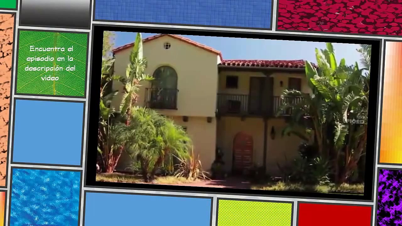 [Episodio 41] Stan, el perro bloguero - Amor, pérdidas y una gran amistad (Español Latin