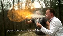 Incredible Slow Motion Compilation That Will Blow Your Mind! - Slow Mo Lab