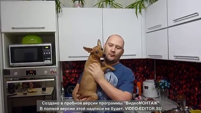 Vlog мастер шеф. готовим дома. готовим курицу.
