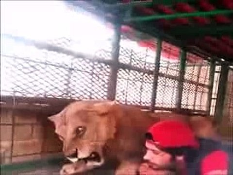 Best Funny & Cute Animal Video Clips 2016 #4 New Funny Cats & Dogs Videos - Try not to Laugh -)